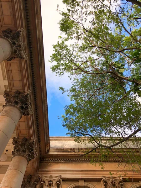 Havana Üniversitesi Tarih sütunlu avlusu üstten farklı bitkilerin bir çok güneşli akşam görüntüleyin