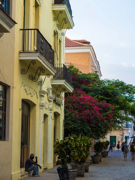 Havana sokakları parlak renkler ve güneşli gün Küba bayraklarda