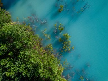 Tourquoise suda, Rusya büyüyen ağaç kocakarılar hava uçak fotoğrafı