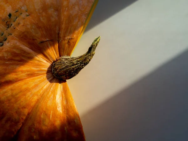 Turuncu halloween pumpkins beyaz tablo; tatil halloween dekorasyon, delitious sağlıklı organik gıda kavramı; tasarım öğesi geometrik çizgileri ve güneş ışığı