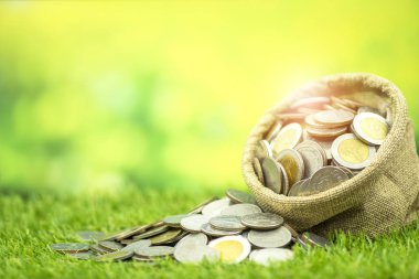 Birçok çanta çim ve yeşil bokeh arka plan üzerinde sikke para kavramı,