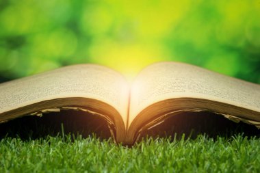 Geçmişe dönük verileri kaynak kavramı, yeşil ve bokeh ışık eski kitap