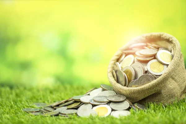 Birçok çanta çim ve yeşil bokeh arka plan üzerinde sikke para kavramı,