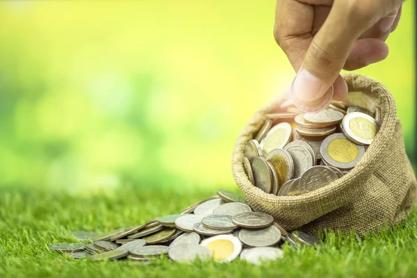 Tasarruf para kavramı, birçok çantada para ve çim ve yeşil bokeh arka plan üzerinde torbaya eklenmiş el
