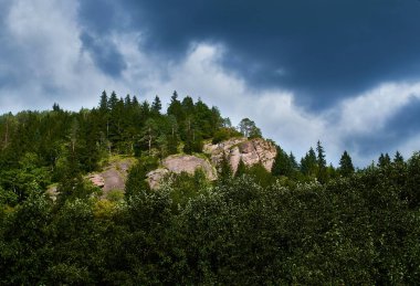 gökyüzü Dağı çam ağacının