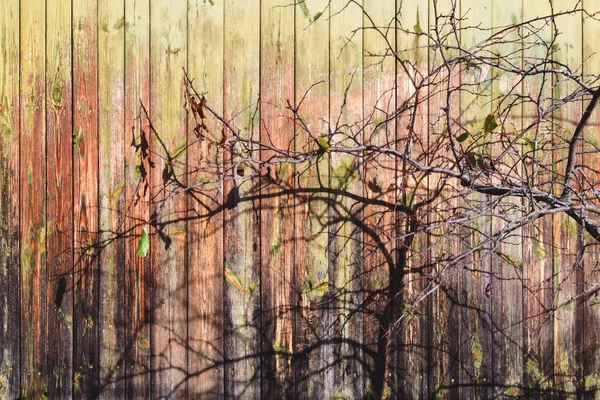 Old Wooden Fence Wall Background Darkened Old Paint — Stock Photo, Image