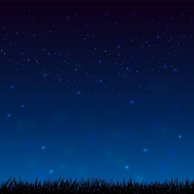 Asian arka zemin gece yıldızlı gökyüzü ve karanlık çimen