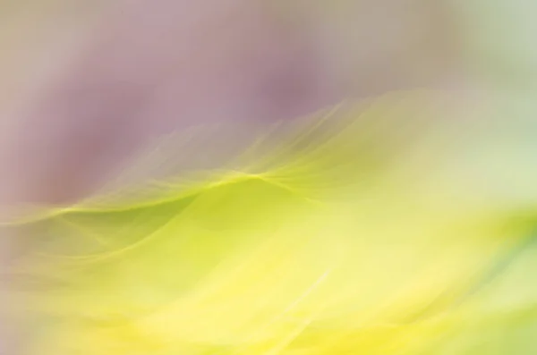 Abstract Photograph Yellow Pink Colors — Stock Photo, Image