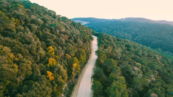 Yeşil ağaçlarla dolu dağların manzarası ve ilk dağı geçen toprak yol..