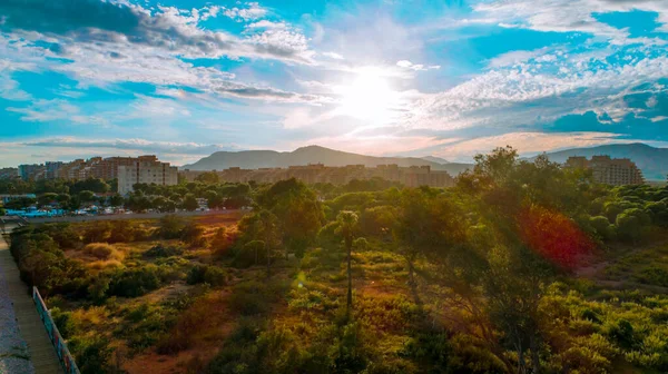Bitkilerden Yeşil Ağaçlardan Oluşan Bir Arazi Şehir Arkaplanda Günbatımında Portakal — Stok fotoğraf