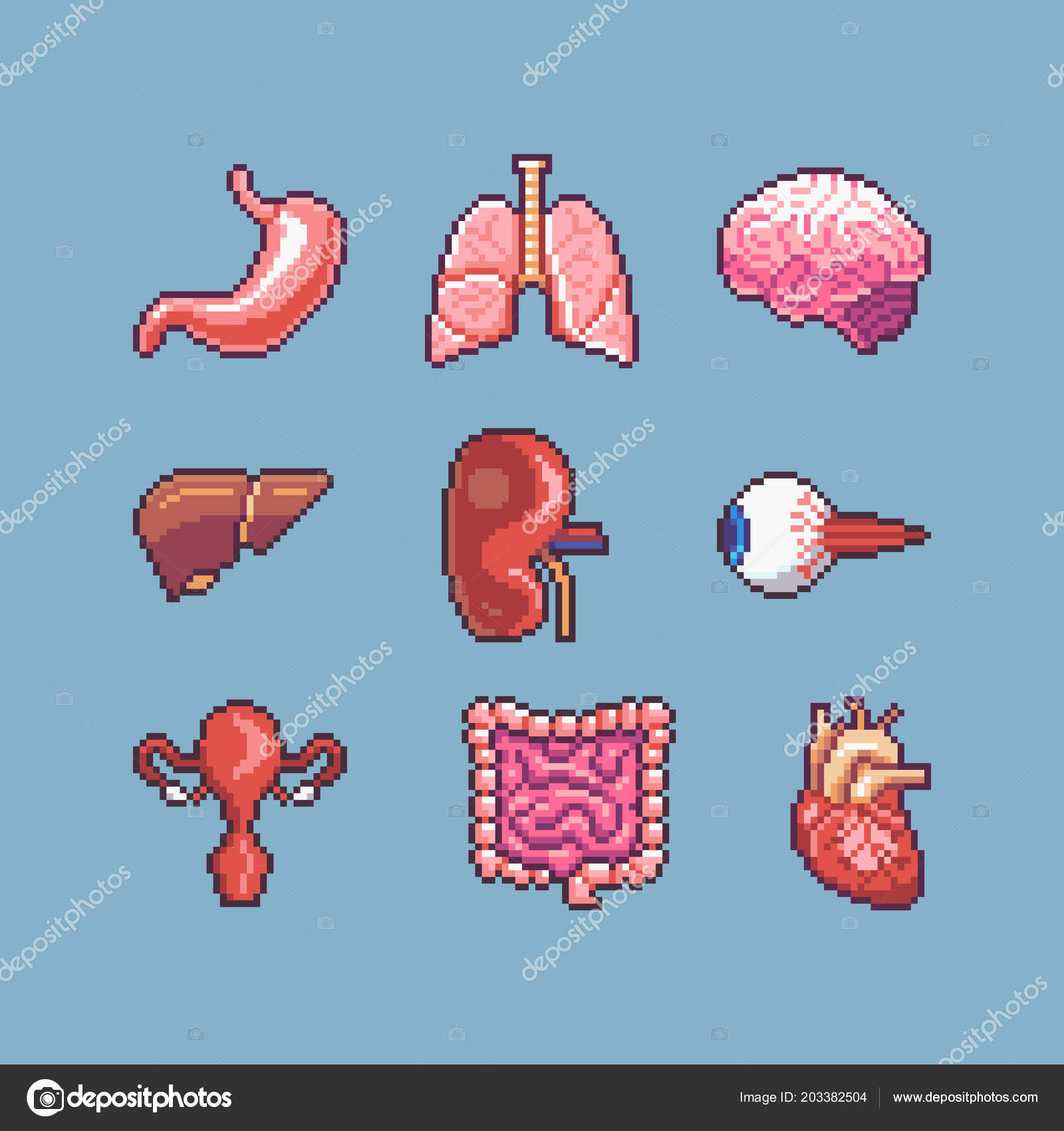 Pixel Art Human Organs Vector Icon Set — Stock Vector © kmarfu #203382504