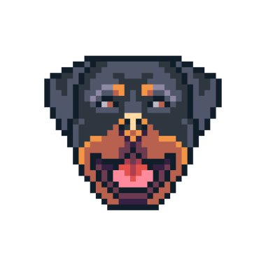 Piksel sanat rottweiler köpek yüz vektör simgesi.
