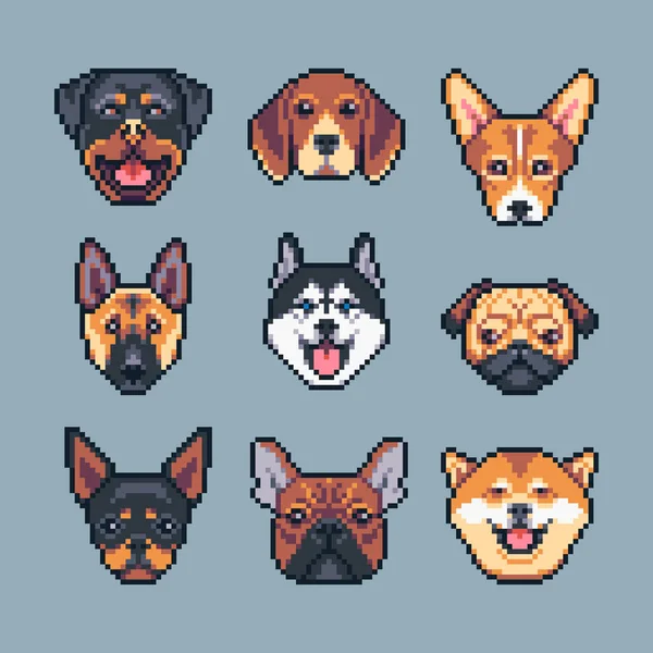 Pixel Art Vector Dogs Breeds Icons Set — Stock Vector