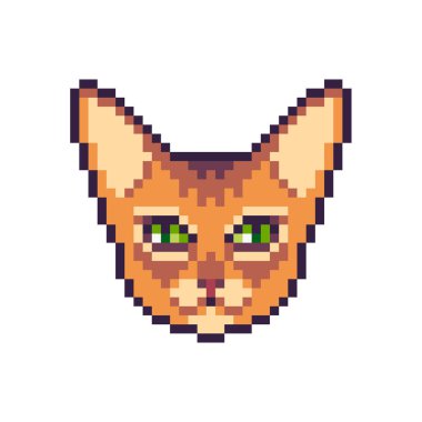 Piksel sanat vektör abyssinian kedi simgesi beyaz arka plan üzerinde izole.