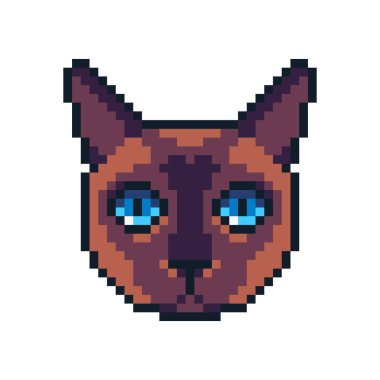 Piksel sanat vektör Siyam kedisi simgesi beyaz arka plan üzerinde izole.