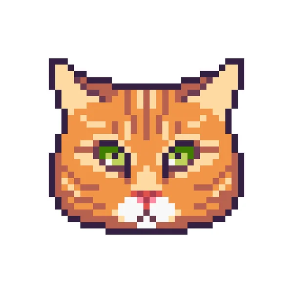 Pixel Arte Vetor Vermelho Tabby Gato Ícone Isolado Fundo Branco — Vetor de Stock