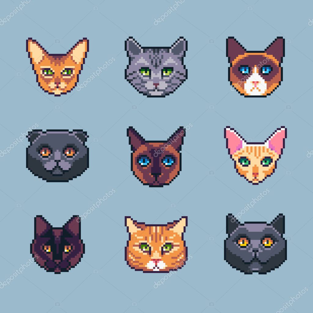 Pixel art vector cat breeds icons set.