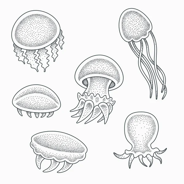 Ilustracja Wektorowa Jellyfishes Małe Dziecko Wzór Tatuażu Blackwork Dotwork — Wektor stockowy