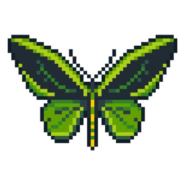 Beyaz arka plan üzerinde izole piksel sanat vektör cape birdwing kelebek.