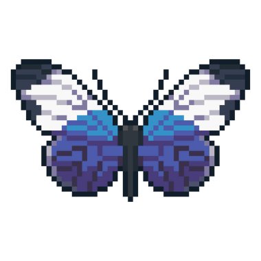 Beyaz arka plan üzerinde izole piksel sanat vektör sapho longwing butterfy.