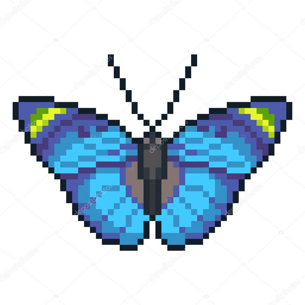 Pixel art vector forester butterfly isolated on white background.