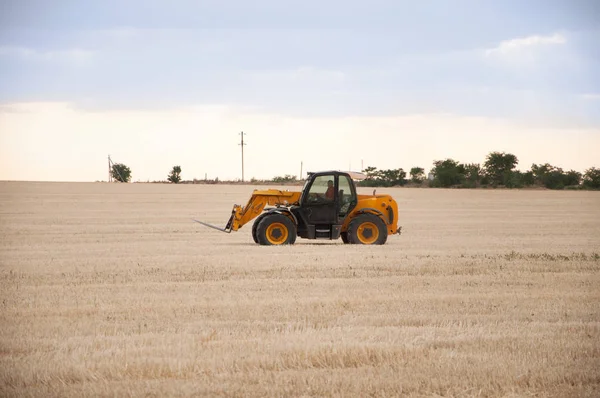 Traktör buğday toplar