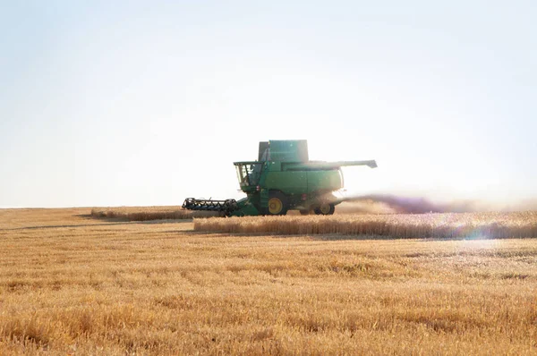 Buğday alanında bir günbatımı hasat birleştirmek.