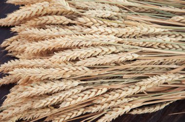 Buğday pas ahşap zemin üzerine