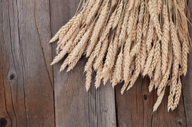 Buğday pas ahşap zemin üzerine