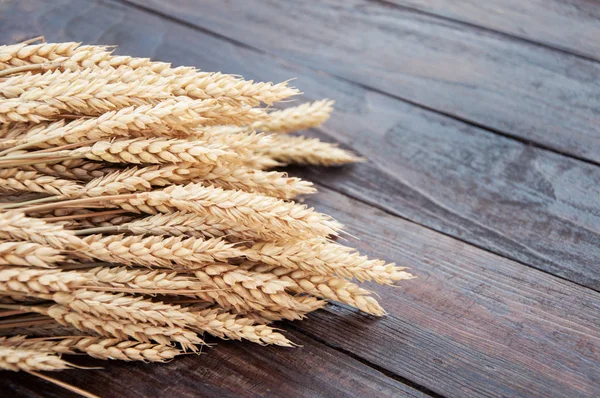 Пшениця Дерев Яному Фоні Іржі — стокове фото