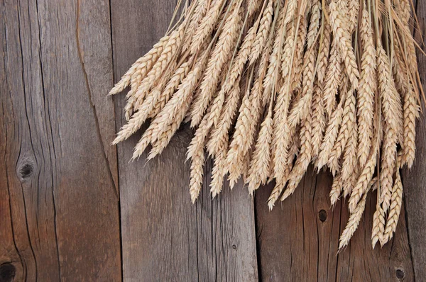 Buğday pas ahşap zemin üzerine