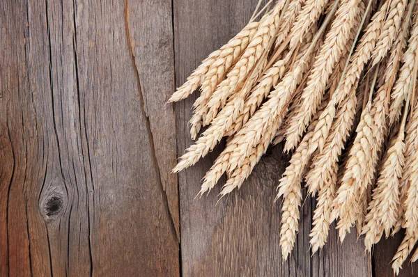 Buğday pas ahşap zemin üzerine