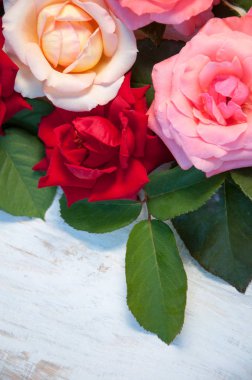 Beyaz arkaplanda güller