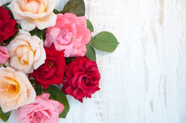 Beyaz arkaplanda güller