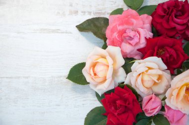 Beyaz arkaplanda güller