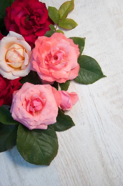 Beyaz arkaplanda güller