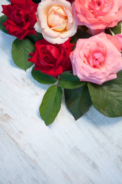 Beyaz arkaplanda güller