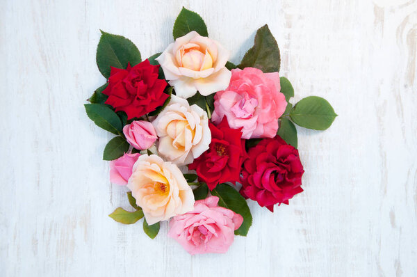 розы на белом фоне