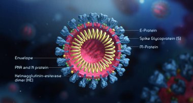 Virüs yapısı modeli. Enfeksiyon kaptı. Üç boyutlu medikal duvar kağıdı. Virüsün mikroskobik görüntüsü. Coronavirus. COVID-19