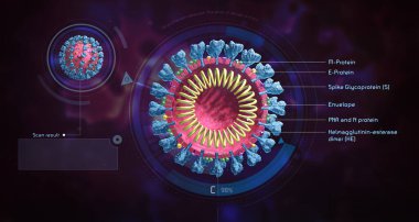 Virüs yapısı modeli. Enfeksiyon kaptı. Üç boyutlu medikal duvar kağıdı. Virüsün mikroskobik görüntüsü. Coronavirus. COVID-19