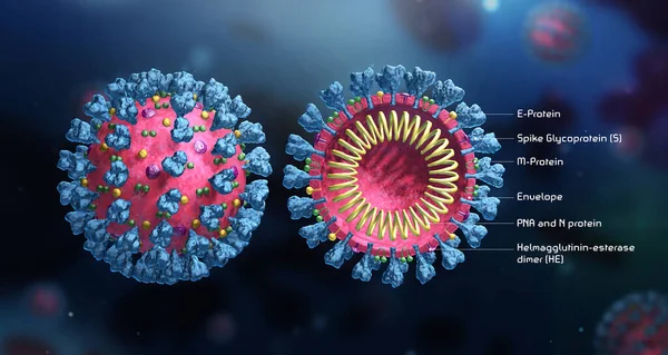 Virüs yapısı modeli. Enfeksiyon kaptı. Üç boyutlu medikal duvar kağıdı. Virüsün mikroskobik görüntüsü. Coronavirus. COVID-19