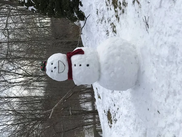 Bonhomme Neige Habillé Avec Grand Sourire Dans Une Cour Après — Photo