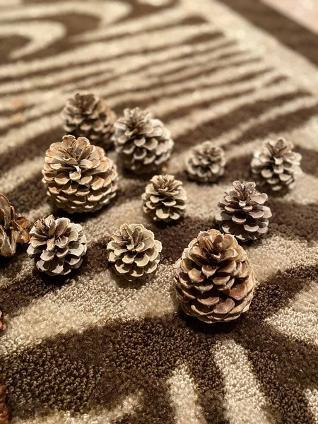 A group of pine cones that will be used for crafting a wreath on a rug