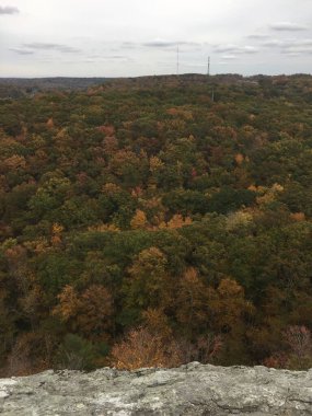 Connecticut 'ta bir sonbahar günü Fener Tepesi yürüyüş parkurundan ormana bakın. 