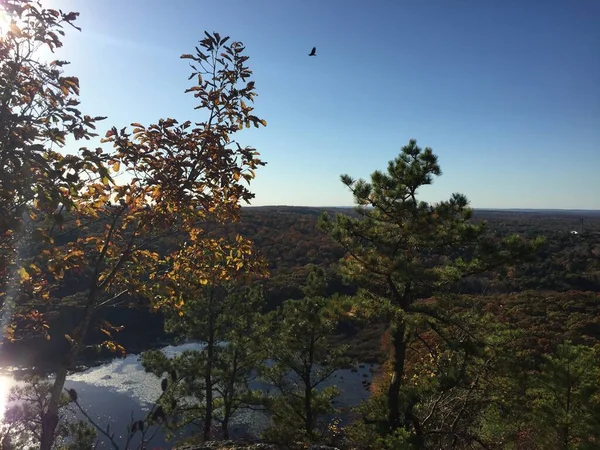 Utsikt Över Kanten Klippa Ett Berg Lantern Hill Trail Connecticut — Stockfoto