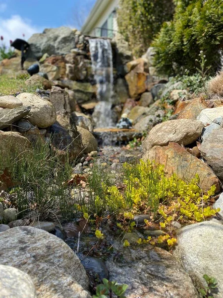 Closeup of plants and rocks in a man-made stream for a koi pond
