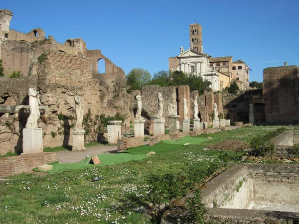 Roma Talya Daki Roma Forumu Nda Mavi Gökyüzü Güneşli Bir — Stok fotoğraf