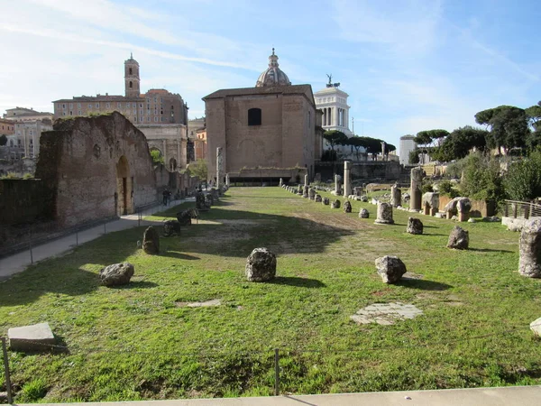 Les Ruines Basilique Émilie Avec Maison Sénat Curia Julia Arrière — Photo