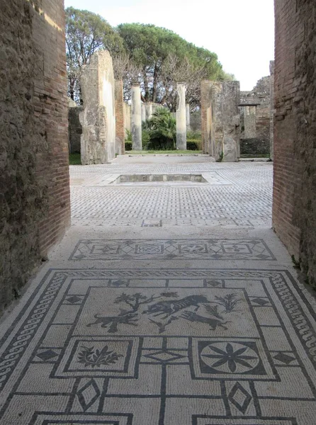 Blick Auf Das Haus Des Wildschweins Mit Mosaiken Eingangsbereich Pompeji — Stockfoto