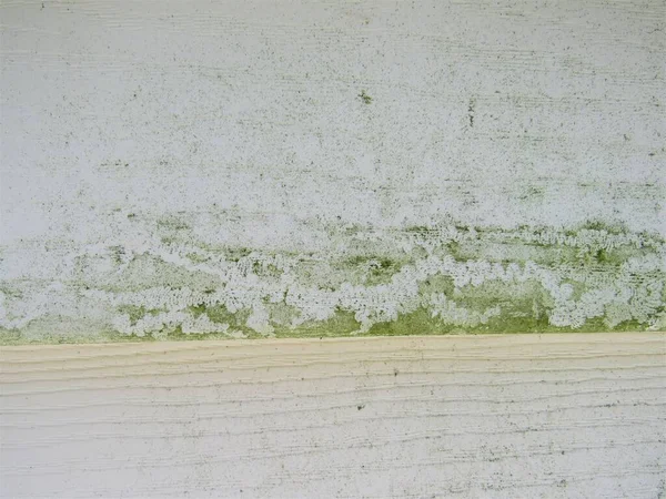 Closeup of the dirty siding on a house, with mold and mildew on the vinyl exterior